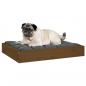 Preview: Hundebett Honigbraun 61,5x49x9 cm Massivholz Kiefer