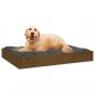 Preview: Hundebett Honigbraun 71,5x54x9 cm Massivholz Kiefer