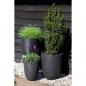 Preview: Capi Blumentopf Nature Rib Rund 54x52 cm Schwarz KBLR935 