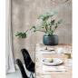 Preview: ARDEBO.de - Noordwand Tapete Concrete Beige