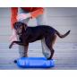 Preview: FitPAWS Balancierscheibe K9FITbone PVC Himmelblau