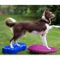 Preview: FitPAWS Balancierscheibe K9FITbone PVC Himmelblau