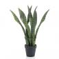 Preview: ARDEBO.de - Emerald Sansevieria Bogenhanf Künstlich 55 cm im Topf    