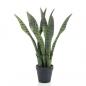 Preview: Emerald Sansevieria Bogenhanf Künstlich 55 cm im Topf    