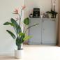 Preview: ARDEBO.de - Emerald Künstliche Pflanze Strelitzia im Topf mit Blumen 120 cm