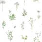 Preview: Noordwand Tapete Evergreen Herbs and Flowers Weiß