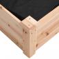 Preview: Hochbeet mit Einsatz 120x45x25 cm Massivholz Tanne