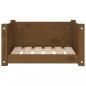 Preview: Hundebett Honigbraun 55,5x45,5x28 cm Massivholz Kiefer