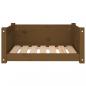 Preview: Hundebett Honigbraun 65,5x50,5x28 cm Massivholz Kiefer