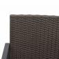 Preview: Gartenbank 2-Sitzer mit Kissen Braun PP-Rattan