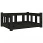 Preview: Hundebett Schwarz 65,5x50,5x28 cm Massivholz Kiefer