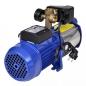 Preview: Kreiselpumpe mit Manometer 1300 W 5100 L/h Blau