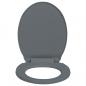 Preview: Toilettensitz mit Absenkautomatik Grau Oval