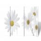 Preview: ARDEBO.de - Raumteiler klappbar 200 x 170 cm Blume 