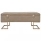 Preview: Bank mit Staufach 105 cm Beige Samt