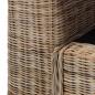 Preview: Sessel mit Kissen Natur Rattan