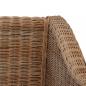 Preview: Sessel mit Auflagen Natur Rattan