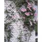 Preview: Nature Garten-Rankgitter 50x150 cm PVC Weiß 6040701