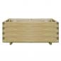 Preview: Hochbeet 100x50x40 cm Holz Rechteckig