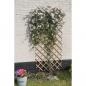 Preview: Nature Garten-Rankgitter 50x150 cm Holz Natur