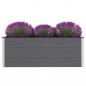 Preview: Garten-Hochbeet WPC 150 x 50 x 54 cm Grau