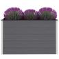 Preview: Garten-Hochbeet WPC 150 x 50 x 91 cm Grau