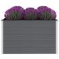 Preview: Garten-Hochbeet WPC 150x100x91 cm Grau