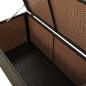 Preview: Gartenbox Poly Rattan 100x50x50 cm Braun