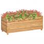 Preview: ARDEBO.de - Hochbeet 100x40x38 cm Teak Altholz und Stahl