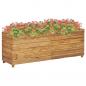 Preview: ARDEBO.de - Hochbeet 150x40x55 cm Teak Altholz und Stahl