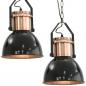 Preview: Deckenlampe 2 Stk. Schwarz Rund E27