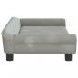 Preview: Hundebett Hellgrau 100x50x21 cm Samt