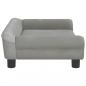 Preview: Hundebett Hellgrau 70x48x22 cm Samt