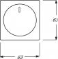 Preview: Busch-Jaeger 6540-885-102 Zentralscheibe mit Drehknopf, Befestigungsmutter und Glimmlampe, future linear, schwarz matt (2CKA006599A2966)