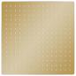 Preview: Regenbrause Edelstahl 40x40 cm Quadrat Golden