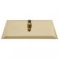 Preview: Regenbrause Edelstahl 40x40 cm Quadrat Golden