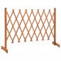 Preview: Garten-Rankzaun Orange 150x80 cm Massivholz Tanne