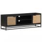 Preview: TV-Schrank 120x30x40 cm Massivholz Mango