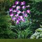 Preview: ARDEBO.de - HI LED-Solar-Orchidee 75 cm