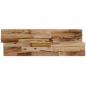 Preview: Wandplatten 10 Stk. 1,03 m² Massivholz Teak Altholz