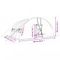 Preview: Gewächshaus mit Stahlrahmen Weiß 24 m² 6x4x2,85 m