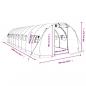Preview: Gewächshaus mit Stahlrahmen Weiß 30 m² 10x3x2 m