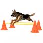 Preview: ARDEBO.de - Agility Hundetraining Hindernis-Set Orange und Gelb