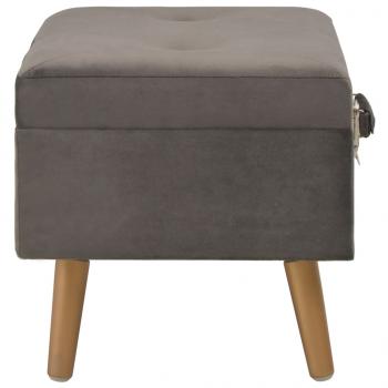 Hocker mit Stauraum 40 cm Grau Samt