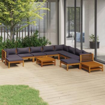 ARDEBO.de - 12-tlg. Garten-Lounge-Set mit Auflage Massivholz Akazie