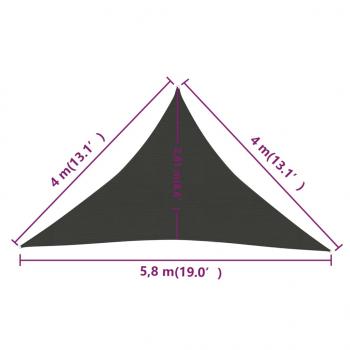 Sonnensegel 160 g/m² Anthrazit 4x4x5,8 m HDPE