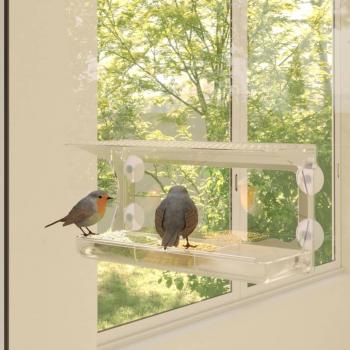 ARDEBO.de - Fenster-Futterstellen für Vögel 2 Stk. Acryl 30x12x15 cm