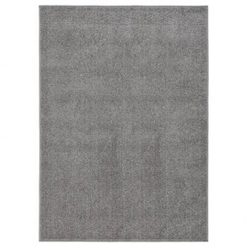 ARDEBO.de - Teppich Kurzflor 120x170 cm Grau