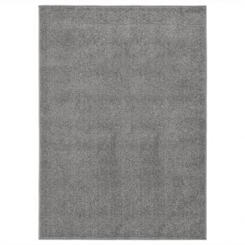 ARDEBO.de - Teppich Kurzflor 140x200 cm Grau