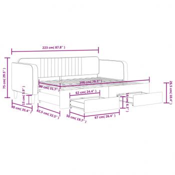 Tagesbett Ausziehbar mit Schubladen Hellgrau 80x200 cm Samt